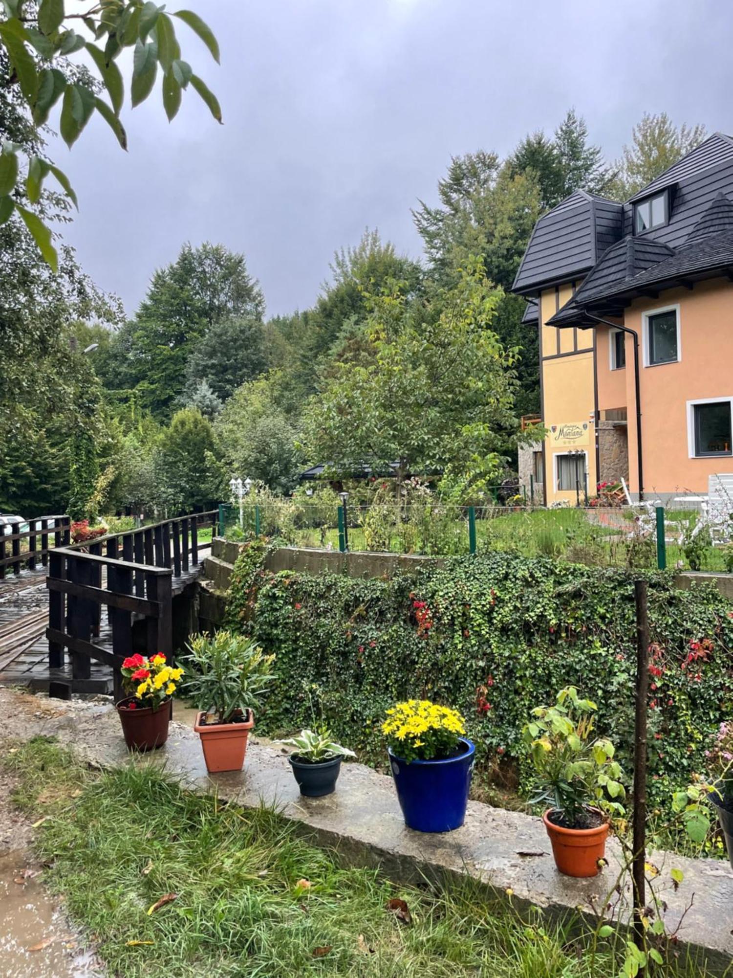 Montana Hotel Сучевица Екстериор снимка