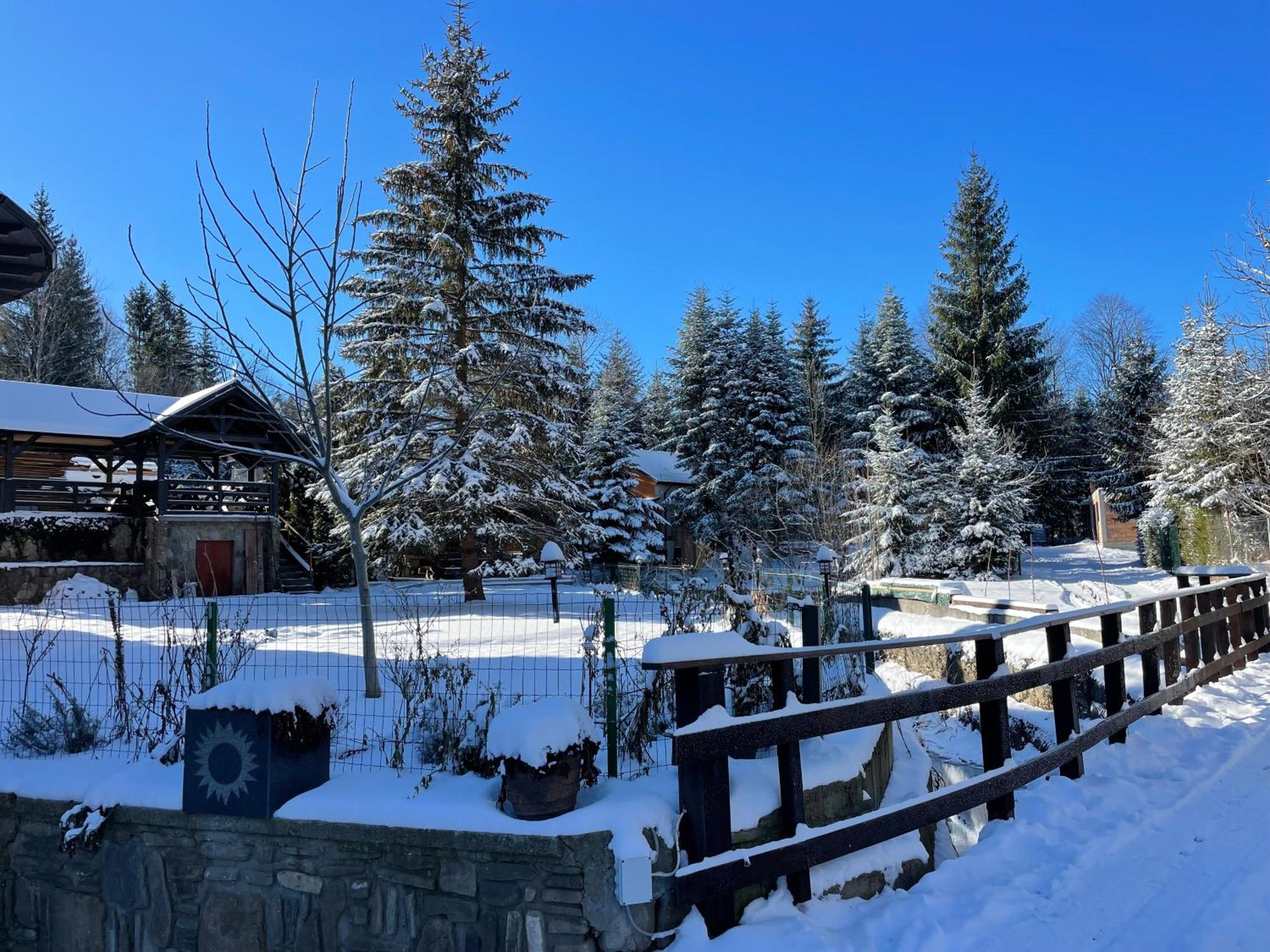 Montana Hotel Сучевица Екстериор снимка